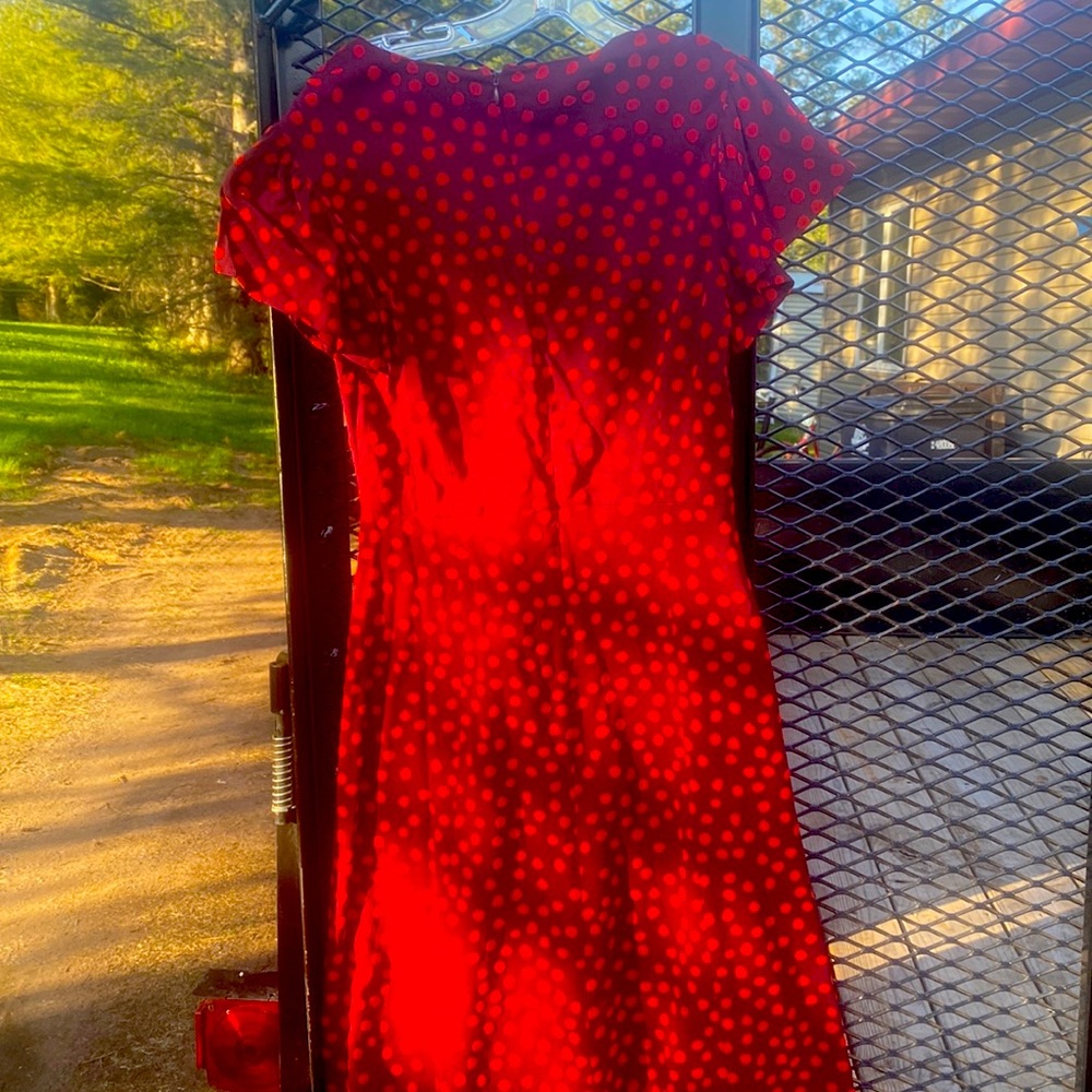 Such a show piece vintage ALTUZARRA dress